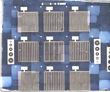 Image1